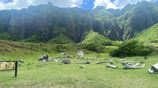 Best of Kualoa Experience Package