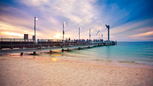Desert Safari Day Cruise with Wild Dolphin Feeding