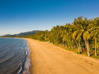 Palm Cove
