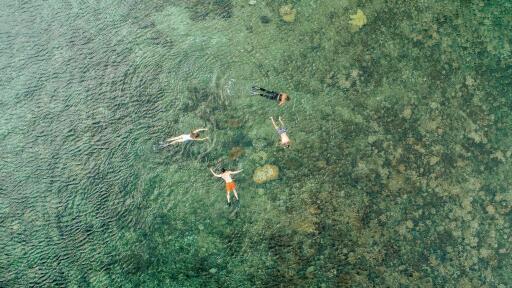 Savaia Clam Reserve & Vailima Botanical Gardens