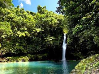 Saviia Island Southern Tour - Afu Aau Waterfall