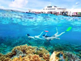 sunlover reef cruises-arlington reef tour great barrier reef cairns