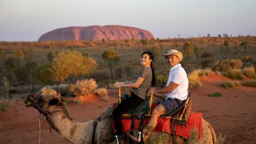 Take a Camel To Sunset Tour